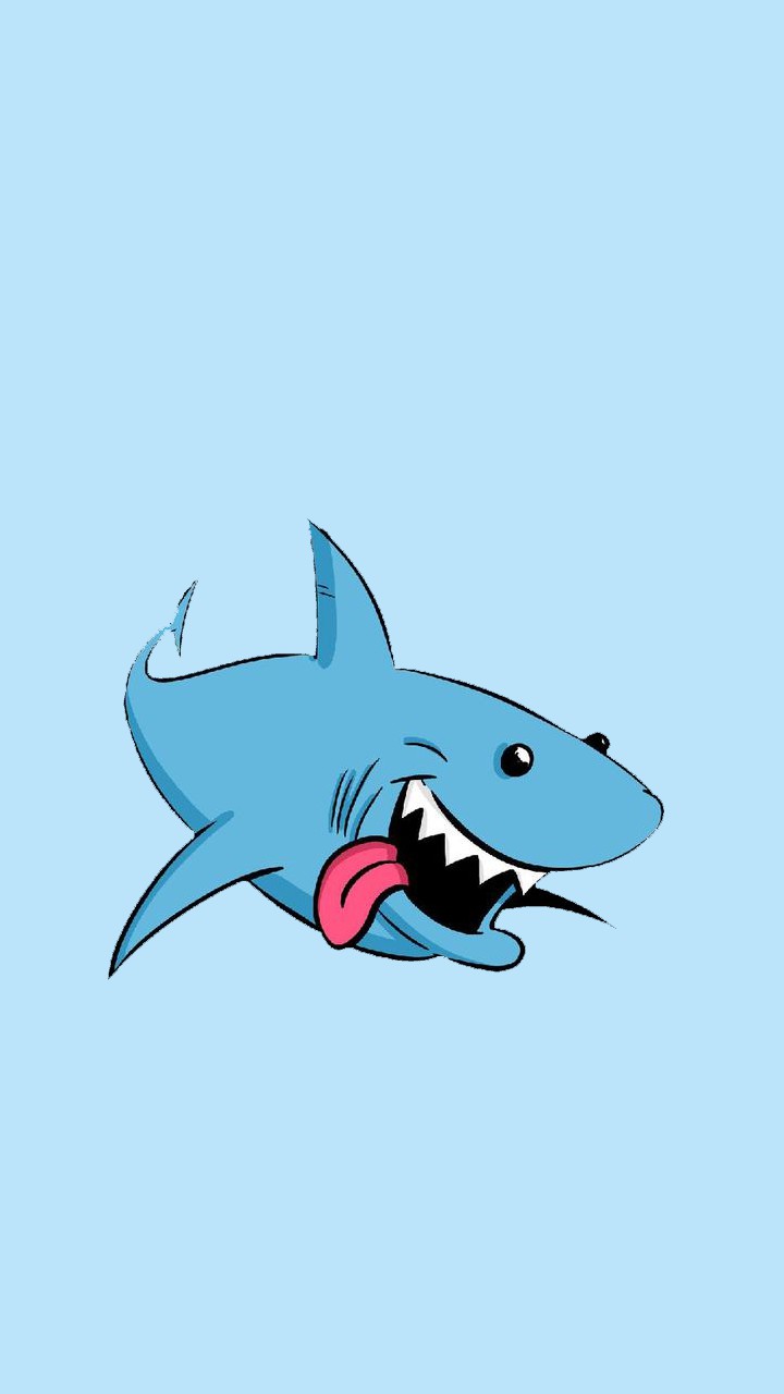 160 ý tưởng hay nhất về Cá Mập  cá mập dễ thương đang yêu