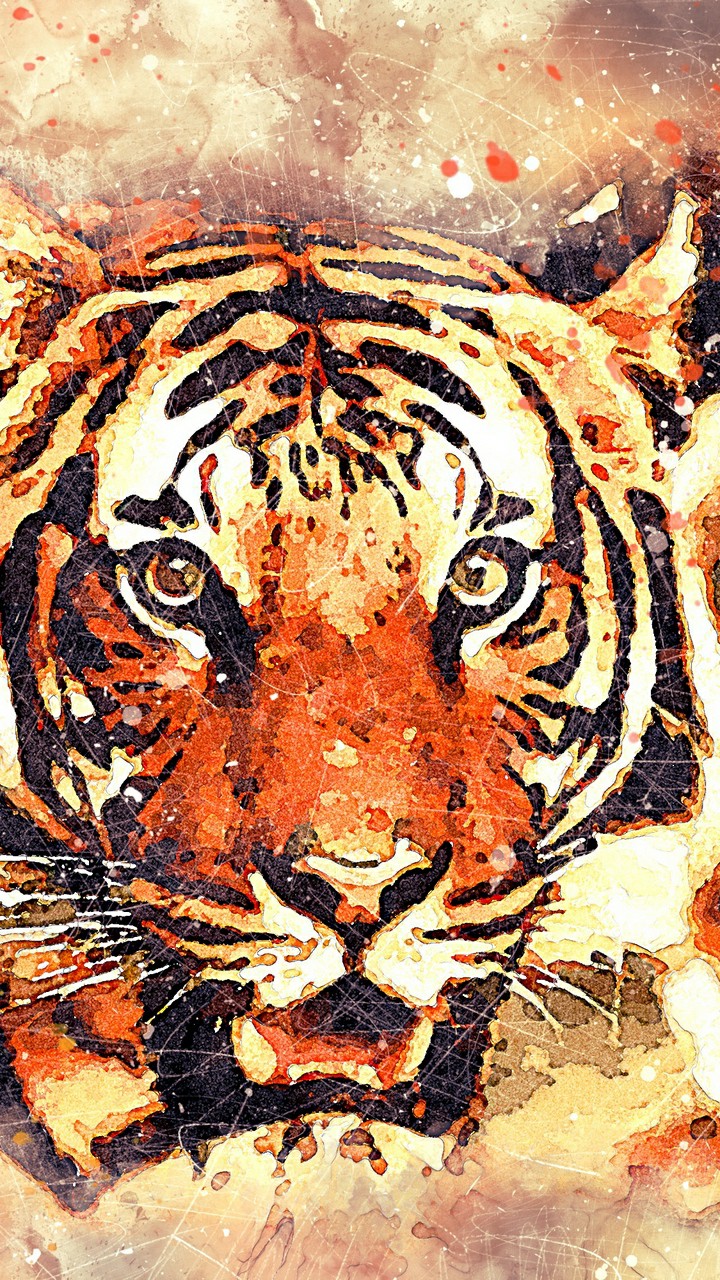 Hình Nền Bá Đạo - Hình nền con hổ 3D đẹp lung linh nhé các chế. | Facebook