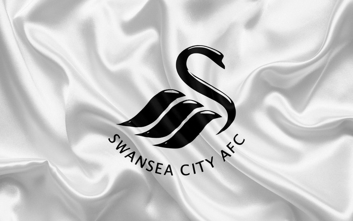 CLB Swansea City: Những Thông Tin Thú Vị Cho Người Hâm Mộ