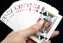 4 Đôi Thông Là Gì? Hướng Dẫn Cách Nhận Biết Và Sử Dụng Hiệu Quả